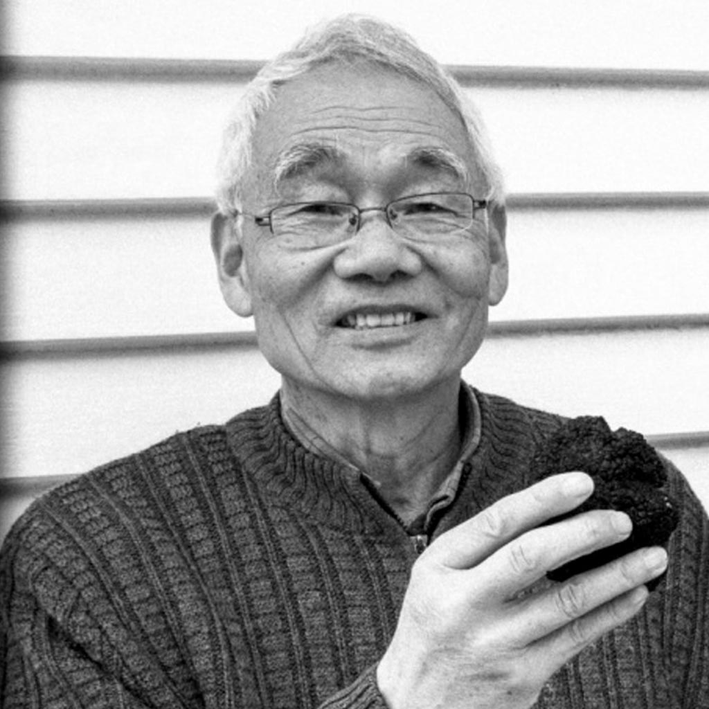 Wang Yun